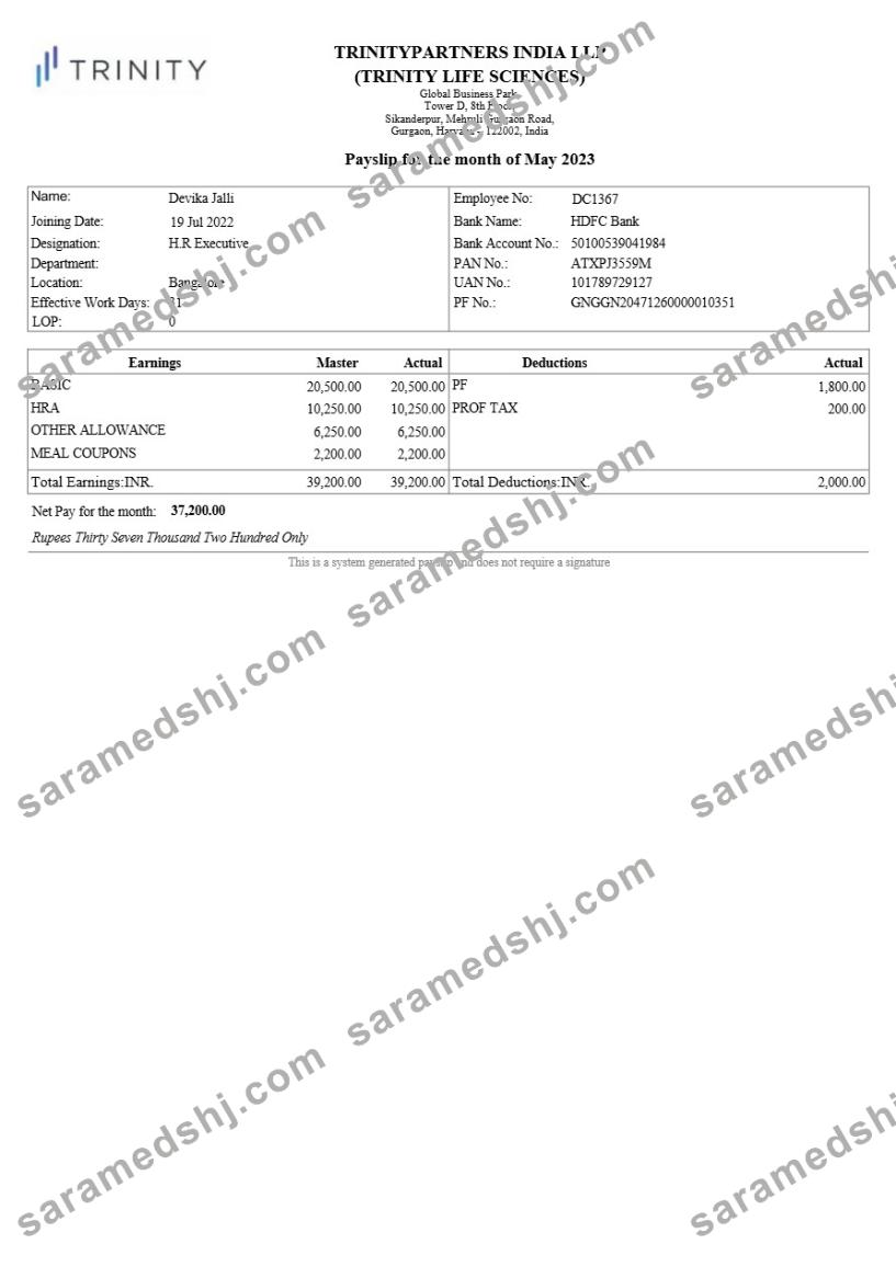 Trinitypartners India real estate payslip template in Word and PDF formats.pdf, 1